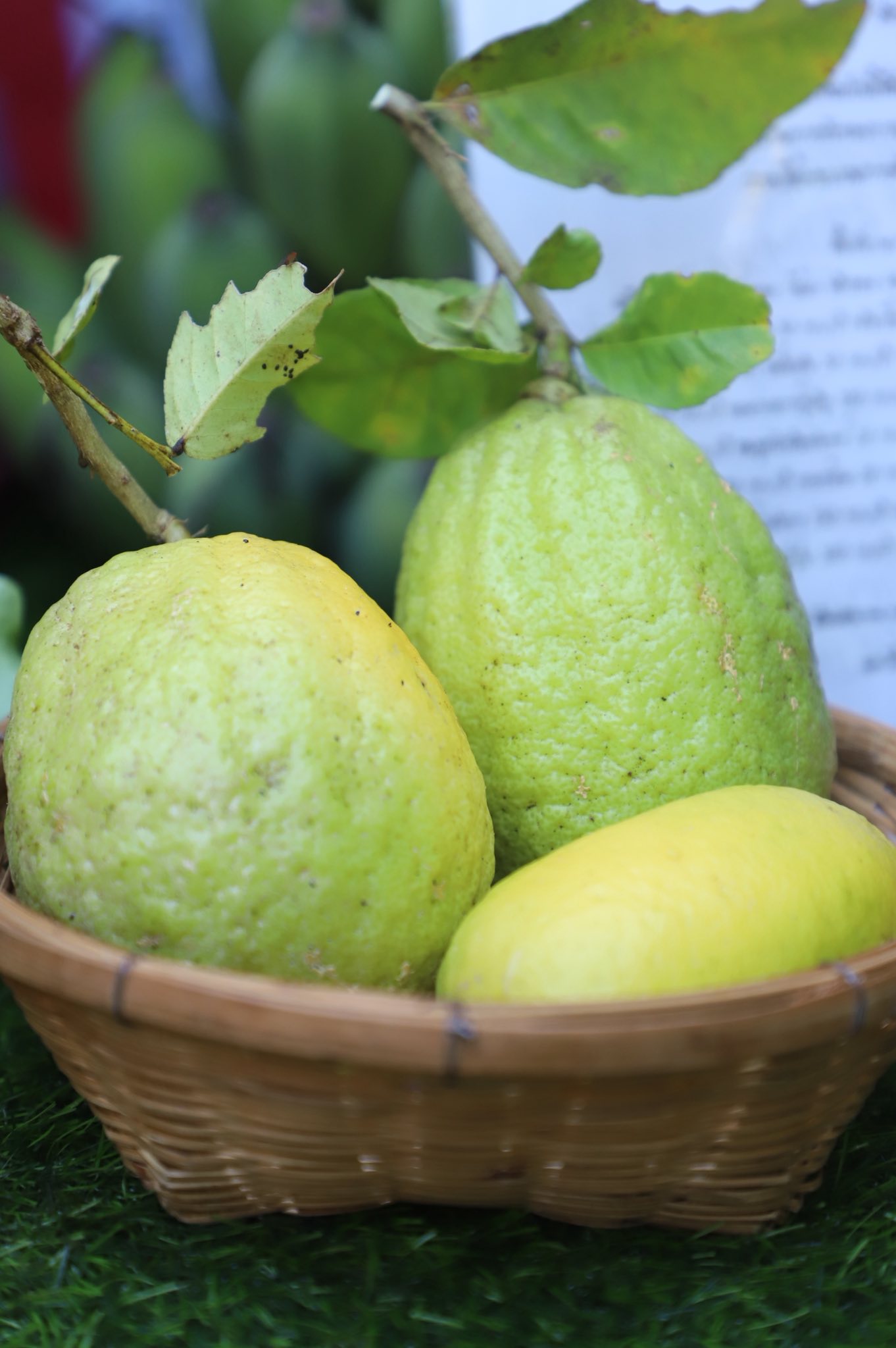 title - ”พลิกโฉมเกษตรกรสู่ผู้ประกอบการ“ ส.ป.ก.ลำพูน โชว์ความสำเร็จเกษตรอินทรีย์ครบวงจร ตั้งแต่แปลงปลูกสู่ตลาดพรีเมียม!!